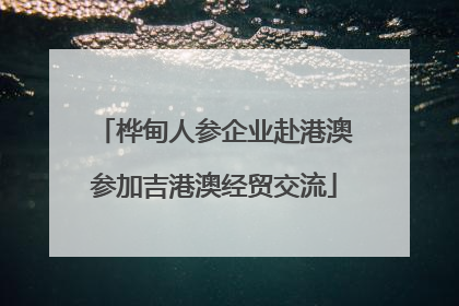 桦甸人参企业赴港澳参加吉港澳经贸交流