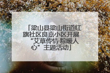 梁山县梁山街道红旗社区良嘉小区开展“艾草传情·粽暖人心”主题活动