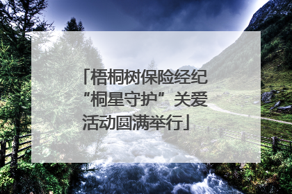 梧桐树保险经纪“桐星守护”关爱活动圆满举行