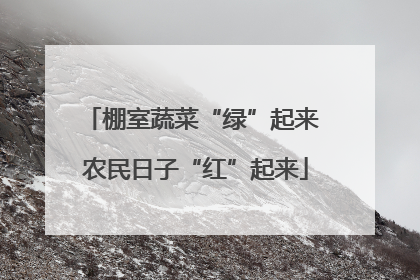 棚室蔬菜“绿”起来 农民日子“红”起来