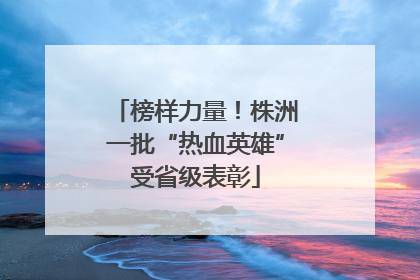 榜样力量！株洲一批“热血英雄”受省级表彰