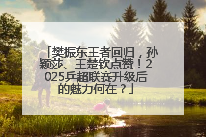樊振东王者回归，孙颖莎、王楚钦点赞！2025乒超联赛升级后的魅力何在？