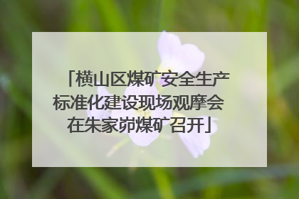 横山区煤矿安全生产标准化建设现场观摩会在朱家峁煤矿召开