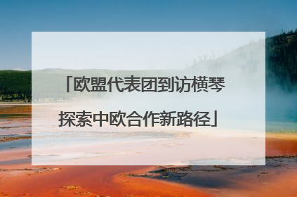 欧盟代表团到访横琴 探索中欧合作新路径