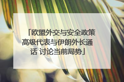 欧盟外交与安全政策高级代表与伊朗外长通话 讨论当前局势