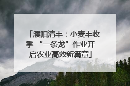 濮阳清丰：小麦丰收季 “一条龙”作业开启农业高效新篇章