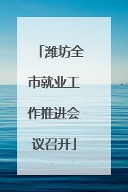 潍坊全市就业工作推进会议召开
