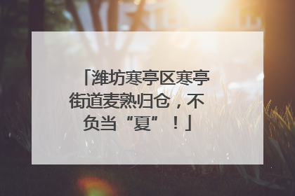 潍坊寒亭区寒亭街道麦熟归仓，不负当“夏”！