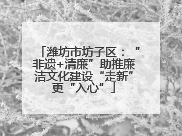 潍坊市坊子区：“非遗+清廉”助推廉洁文化建设“走新”更“入心”