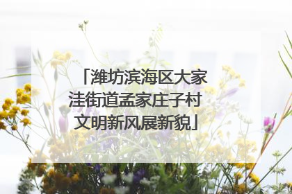 潍坊滨海区大家洼街道孟家庄子村文明新风展新貌