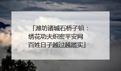 潍坊诸城石桥子镇：绣花功夫织密平安网 百姓日子越过越踏实