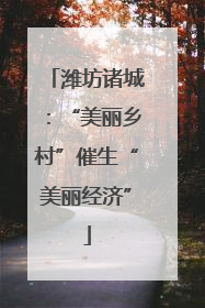 潍坊诸城：“美丽乡村”催生“美丽经济”