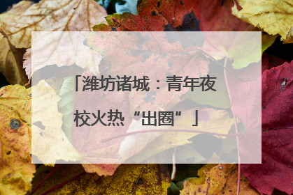 潍坊诸城：青年夜校火热“出圈”