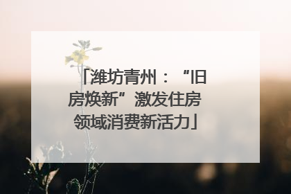 潍坊青州：“旧房焕新”激发住房领域消费新活力
