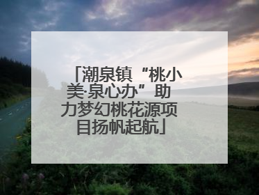 潮泉镇“桃小美·泉心办”助力梦幻桃花源项目扬帆起航