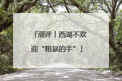 潮评丨西湖不欢迎“粗暴的手”