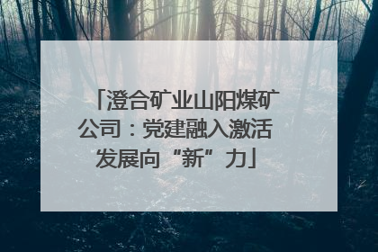 澄合矿业山阳煤矿公司：党建融入激活发展向“新”力