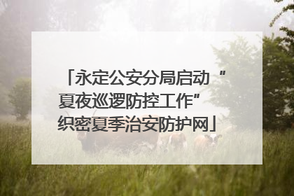 永定公安分局启动“夏夜巡逻防控工作” 织密夏季治安防护网