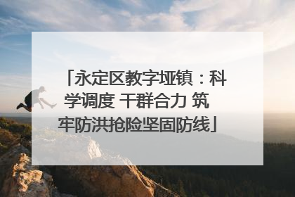 永定区教字垭镇：科学调度 干群合力 筑牢防洪抢险坚固防线