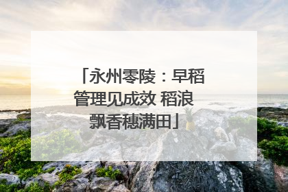 永州零陵：早稻管理见成效 稻浪飘香穗满田
