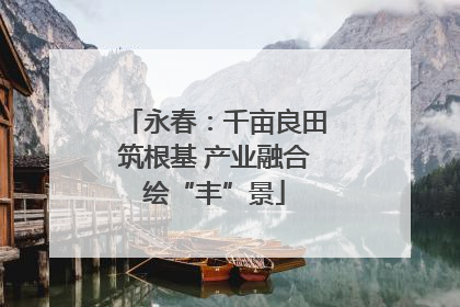 永春：千亩良田筑根基 产业融合绘“丰”景
