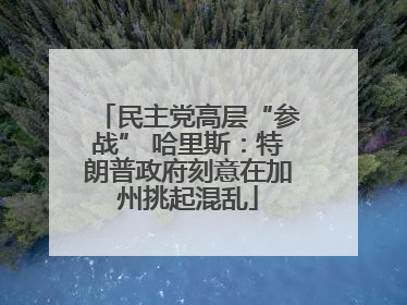 民主党高层“参战” 哈里斯：特朗普政府刻意在加州挑起混乱