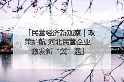 民营经济新观察｜政策护航 河北民营企业激发新“冀”遇