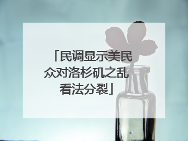 民调显示美民众对洛杉矶之乱看法分裂