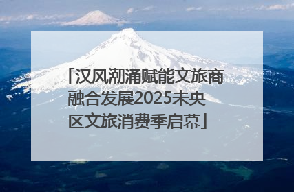 汉风潮涌赋能文旅商融合发展2025未央区文旅消费季启幕