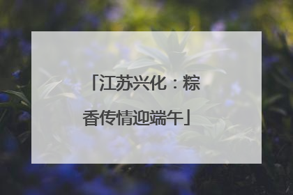 江苏兴化：粽香传情迎端午