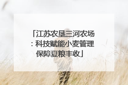 江苏农垦三河农场：科技赋能小麦管理保障夏粮丰收