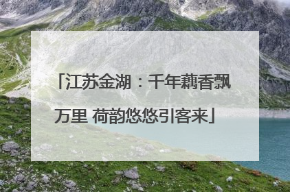 江苏金湖：千年藕香飘万里 荷韵悠悠引客来