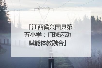 江西省兴国县第五小学：门球运动赋能体教融合