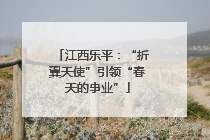 江西乐平：“折翼天使”引领“春天的事业”