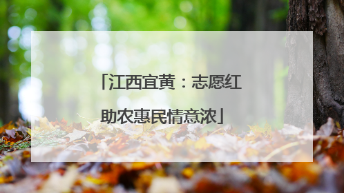 江西宜黄：志愿红助农惠民情意浓