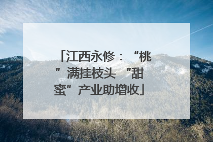江西永修：“桃”满挂枝头 “甜蜜”产业助增收