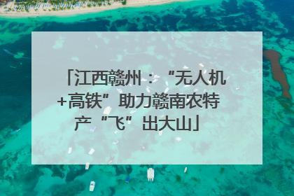 江西赣州：“无人机+高铁”助力赣南农特产“飞”出大山