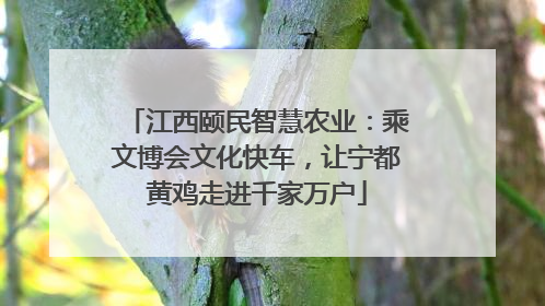 江西颐民智慧农业：乘文博会文化快车，让宁都黄鸡走进千家万户