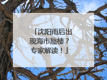沈阳雨后出现海市蜃楼？专家解读！