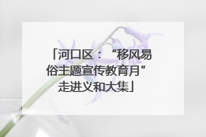 河口区：“移风易俗主题宣传教育月”走进义和大集