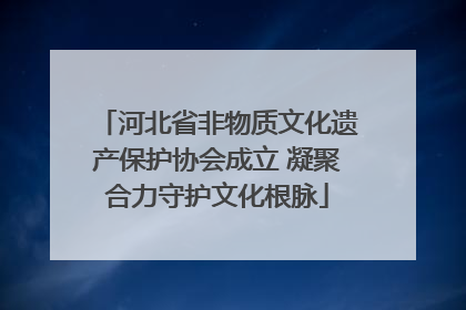 河北省非物质文化遗产保护协会成立 凝聚合力守护文化根脉