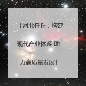 河北任丘：构建现代产业体系 助力高质量发展