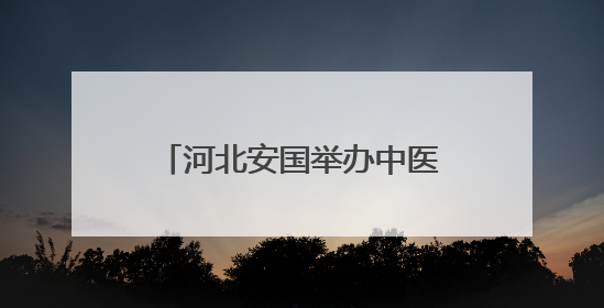 河北安国举办中医药养生主题市集