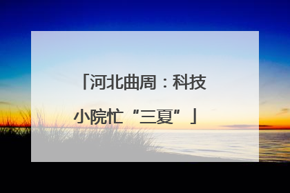 河北曲周：科技小院忙“三夏”