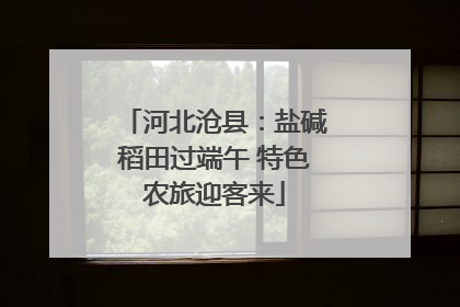 河北沧县：盐碱稻田过端午 特色农旅迎客来