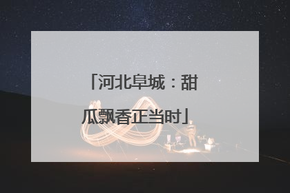河北阜城：甜瓜飘香正当时