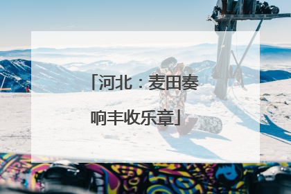 河北：麦田奏响丰收乐章