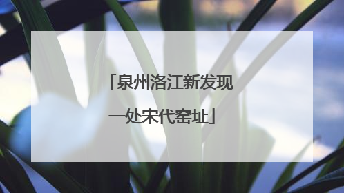 泉州洛江新发现一处宋代窑址
