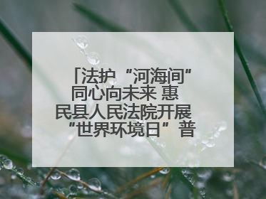 法护“河海间” 同心向未来 惠民县人民法院开展“世界环境日”普法宣传活动