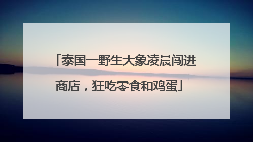 泰国一野生大象凌晨闯进商店，狂吃零食和鸡蛋